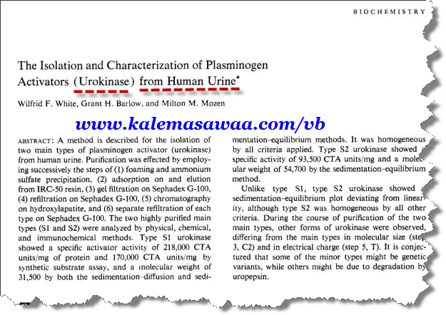 Kamelurin 2